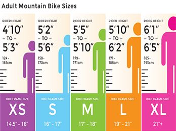 ladies bike size chart