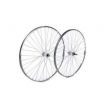 Bicycle Wheels